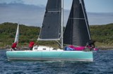 free bird gbr5190l whyw24 sun 800 5319